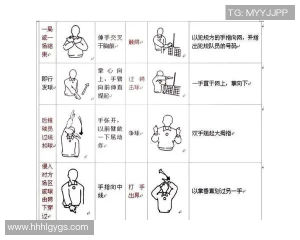 从零起步掌握排球节奏技巧全解析助你轻松成为排球高手